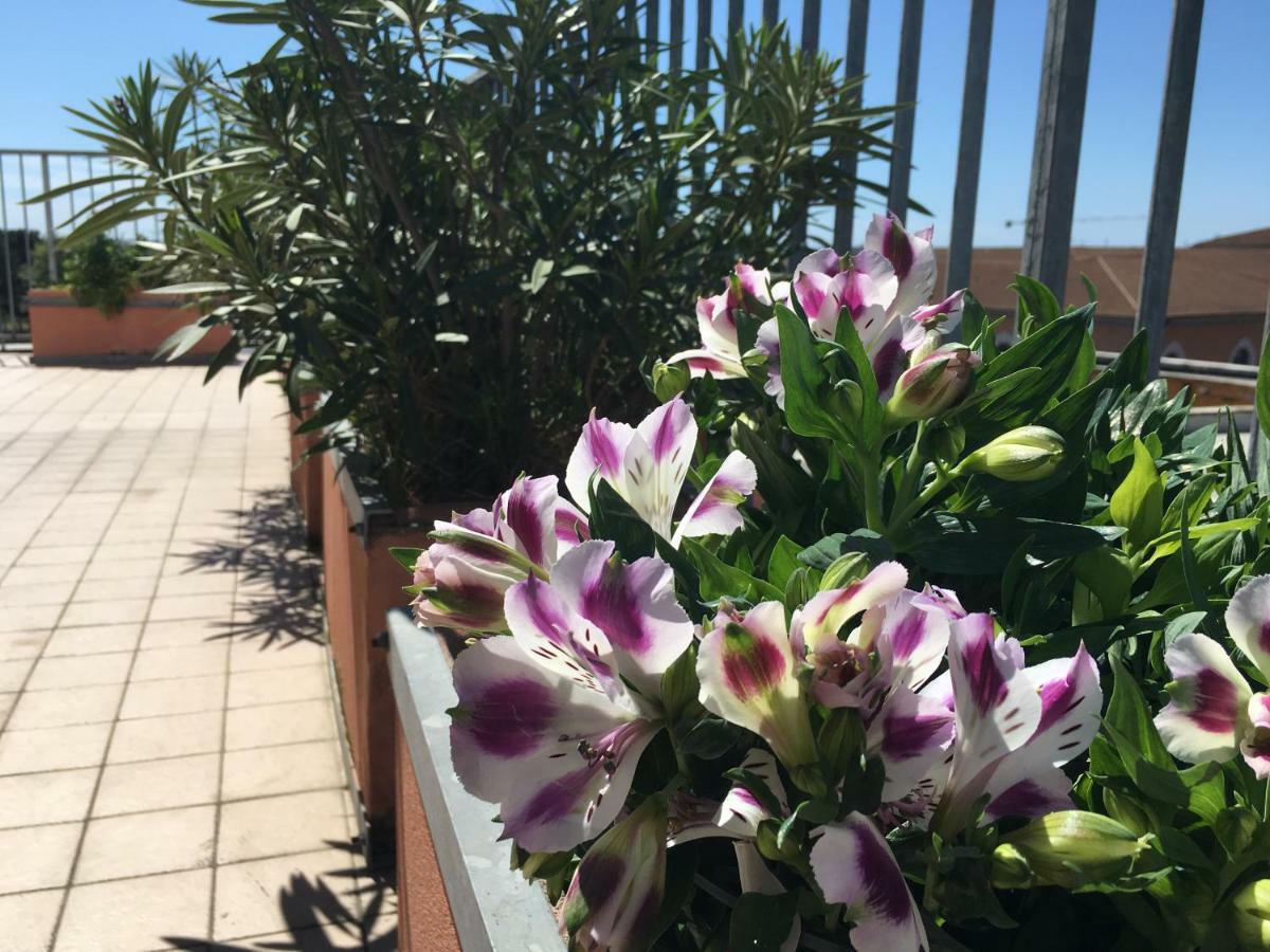 B&B Colombo 피사 외부 사진