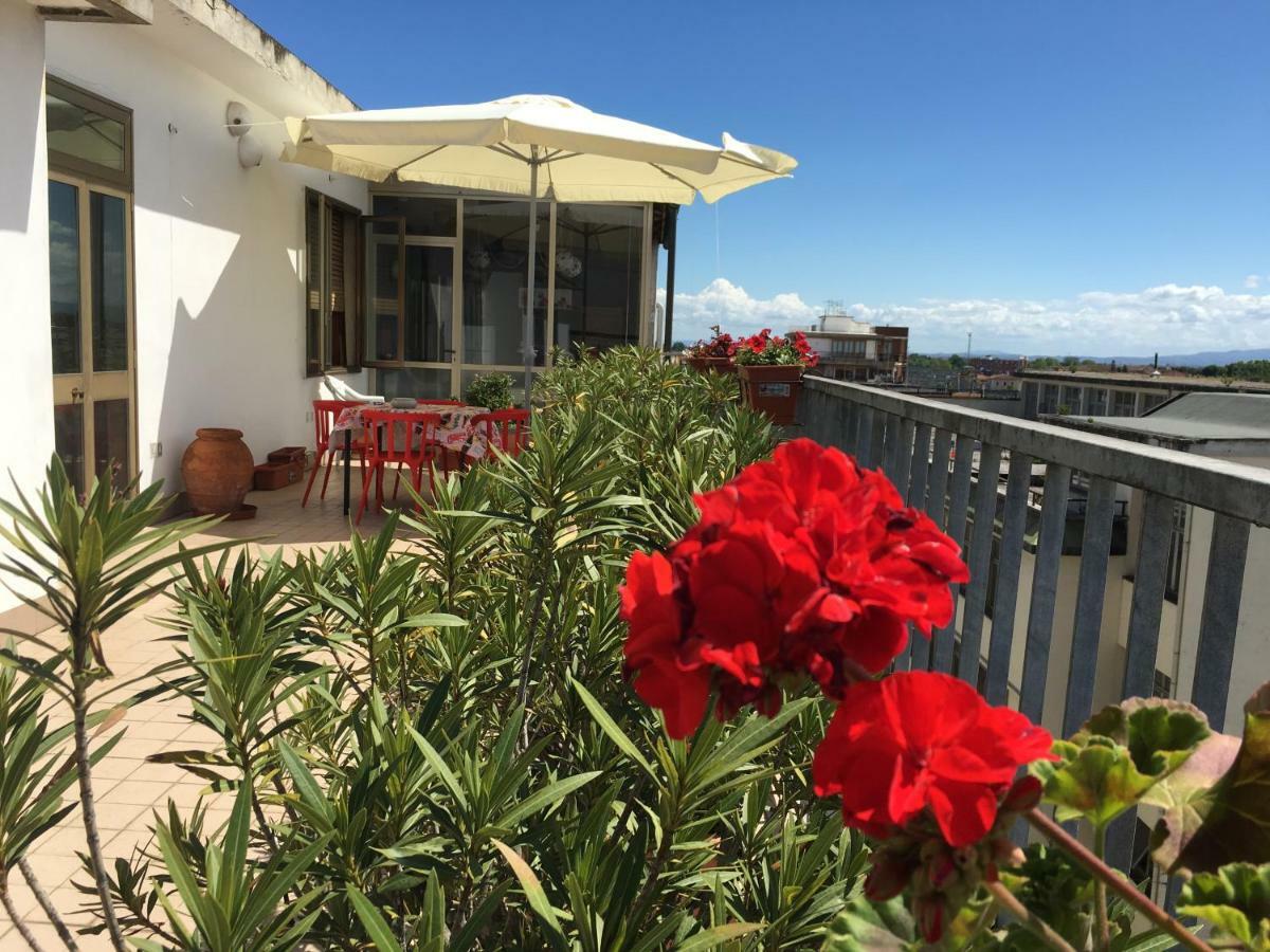B&B Colombo 피사 외부 사진